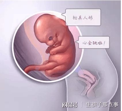 苏医生